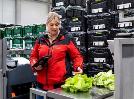 Pfalzmarkt eG Der Gemüsegarten Deutschlands startet offiziell in die